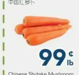 Oceans Fresh Food Market Chinese Carrots offer