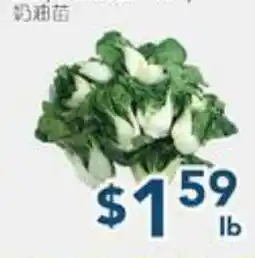 Oceans Fresh Food Market Baby Nai Yu Bok Choy offer