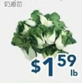 Oceans Fresh Food Market Baby Nai Yu Bok Choy offer