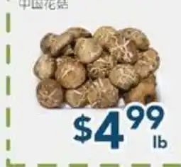 Oceans Fresh Food Market Chinese Mushroom offer