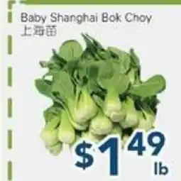 Oceans Fresh Food Market Baby Shanghai Bok Choy offer