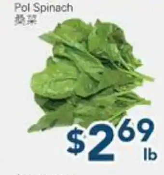 Oceans Fresh Food Market Pol Spinach offer