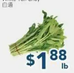Oceans Fresh Food Market White Ton Choy offer