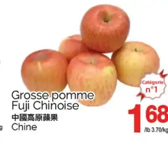 T&T Supermarket GROSSE POMME FUJI CHINOISE offer