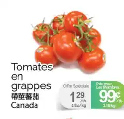 T&T Supermarket TOMATES EN GRAPPES offer