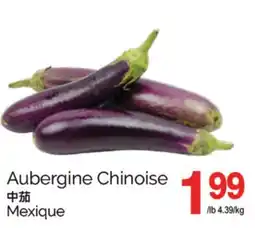 T&T Supermarket AUBERGINE CHINOISE offer