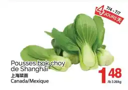 T&T Supermarket POUSSES BOK CHOY DE SHANGHAI offer