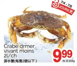 T&T Supermarket JOURS CRABE DRMER VIVANT MOINS, 2L/CH offer