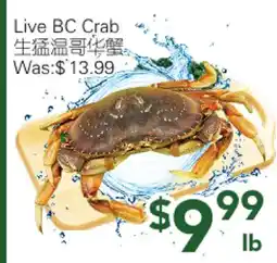 Ample Food Market Live BC Crab offer