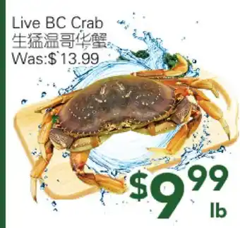 Ample Food Market Live BC Crab offer