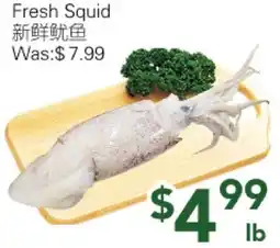 Ample Food Market Fresh Squid offer