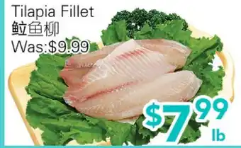 Ample Food Market Tilapia Fillet offer