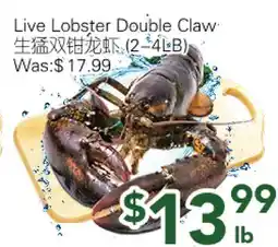 Ample Food Market Live Lobster Double Claw offer