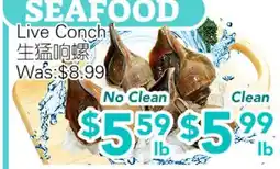 Ample Food Market Live Conch offer
