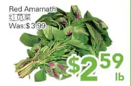 Ample Food Market Red Amarnath offer