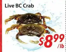 Bestco Food Mart Live BC Crab offer