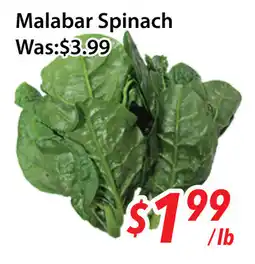 Ample Food Market Malabar spinach offer