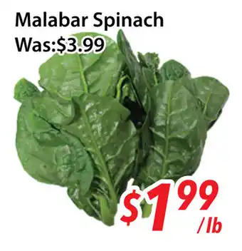 Ample Food Market Malabar spinach offer