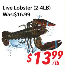 Ample Food Market Live Lobster offer
