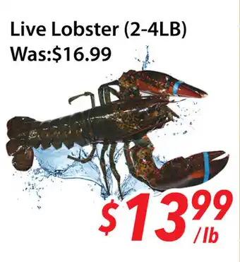 Ample Food Market Live Lobster offer