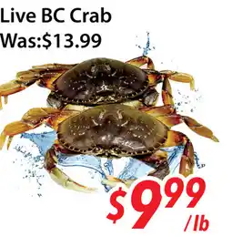 Ample Food Market Live BC Crab offer