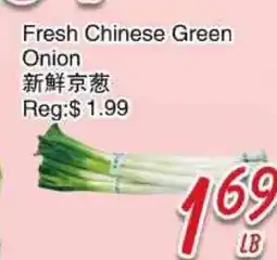 Foody Mart Fresh Chinese Green Onion offer