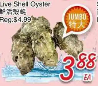 Foody Mart Live Shell Oyster offer