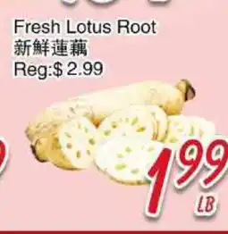 Foody Mart Fresh Lotus Root offer