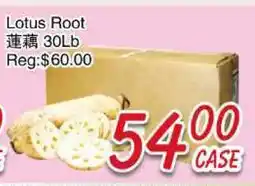 Foody Mart Lotus Root offer
