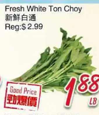 Foody Mart Fresh White Ton Choy offer