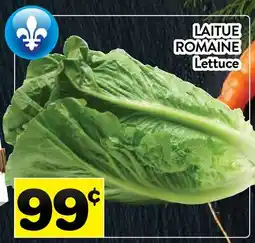Supermarché PA LAITUE ROMAINE | Lettuce offer
