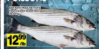 Supermarché PA BAR RAYÉ FRAIS NETTOYÉ | Fresh Cleaned Striped Bass offer