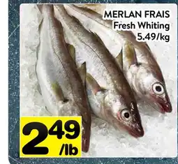 Supermarché PA MERLAN FRAIS | Fresh Whiting offer