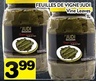 Supermarché PA FEUILLES DE VIGNE JUDI | Vine Leaves offer