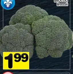 Supermarché PA BROCOLI | Broccoli offer