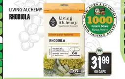 Marches Tau RHODIOLA LIVING ALCHEMY offer