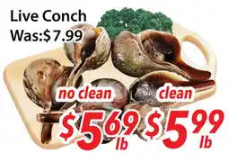 Ample Food Market Live conch offer