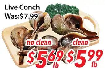 Ample Food Market Live conch offer