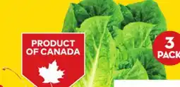 Giant Tiger 3 pack romaine hearts offer