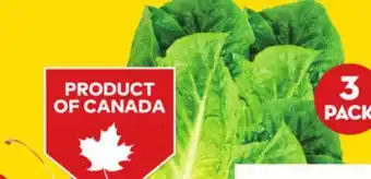 Giant Tiger 3 pack romaine hearts offer