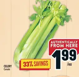 Marché Adonis CELERY offer