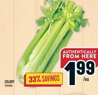 Marché Adonis CELERY offer