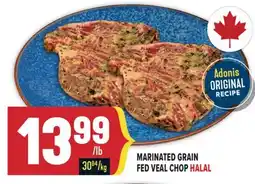 Marché Adonis MARINATED GRAIN FED VEAL CHOP HALAL offer
