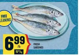 Marché Adonis FRESH SARDINES offer