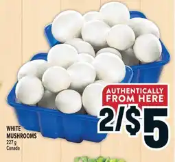 Marché Adonis WHITE MUSHROOMS offer