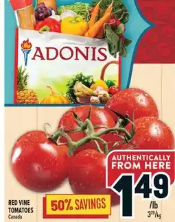 Marché Adonis RED VINE TOMATOES offer