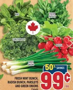 Marché Adonis FRESH MINT BUNCH, RADISH BUNCH, PARSLEYS AND GREEN ONIONS offer