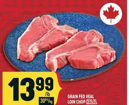 Marché Adonis GRAIN FED VEAL LOIN CHOP HALAL offer