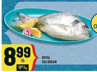 Marché Adonis ROYAL SEA BREAM offer