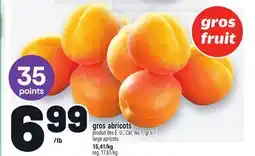 Metro GROS ABRICOTS | LARGE APRICOTS offer